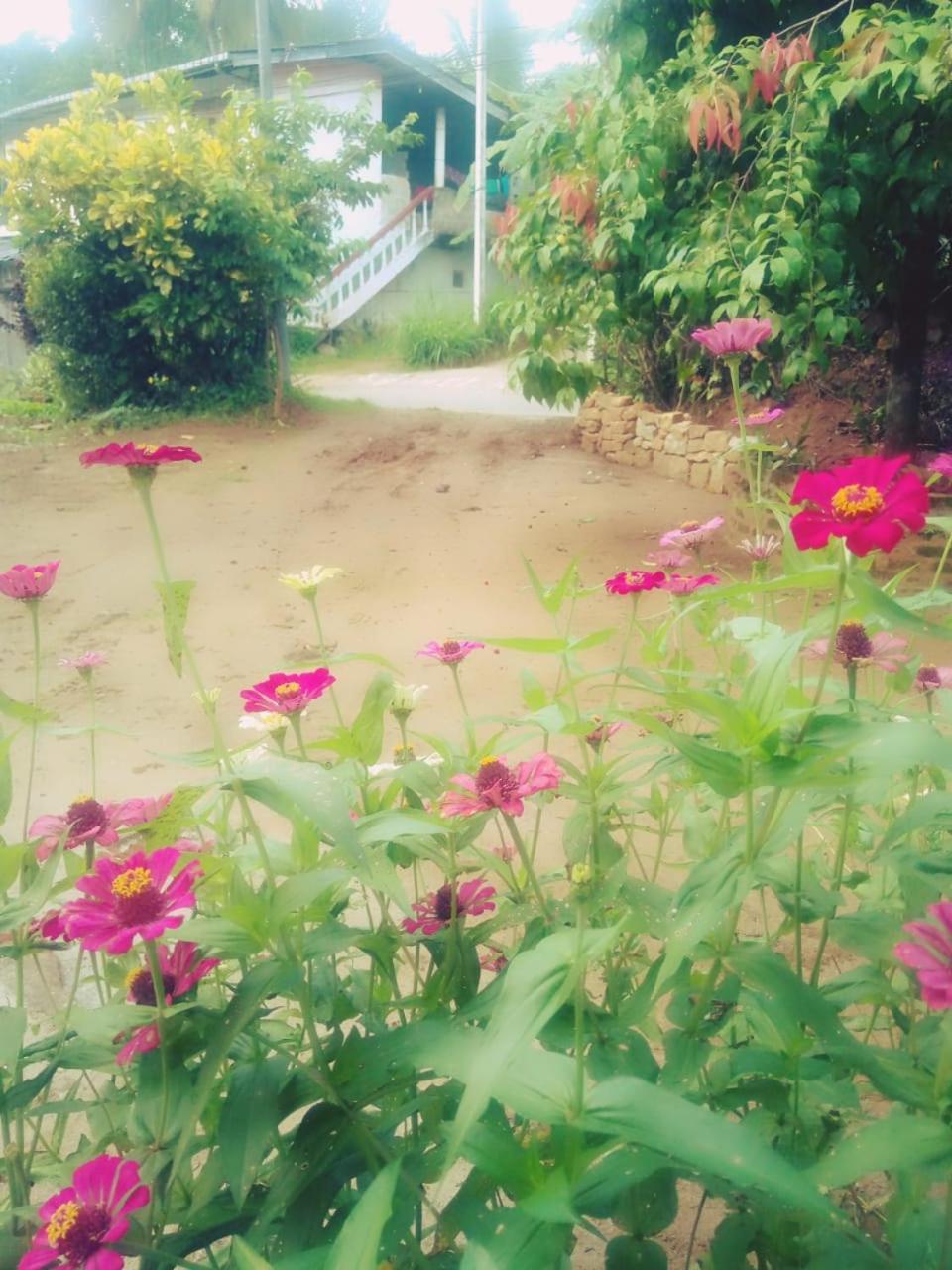 Alexandra Home For Foreign Tourists Only Gampola Extérieur photo